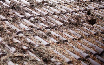 St Michael Caerhays roof cleaning companies