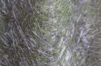 St Michael Caerhays fibreglass roof work